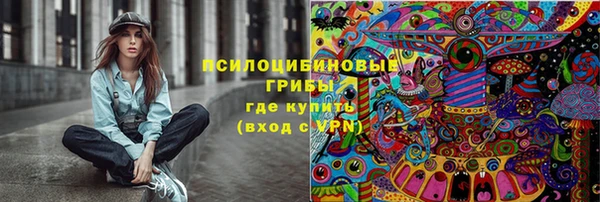 стаф Бронницы